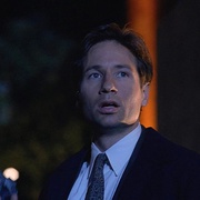 点击查看图片 X档案 第三季 The X-Files Season 3