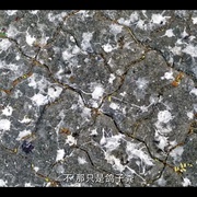怪诞星球 Absurd Planet