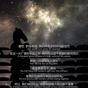 点击查看图片 马男波杰克 第三季 BoJack Horseman Season 3
