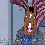 点击查看图片 马男波杰克 第三季 BoJack Horseman Season 3