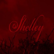 点击查看图片 谢丽 Shelley