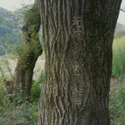 点击查看图片 大唐小吃货