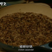 最后一个男人 第二季 The Last Man On Earth Season 2