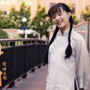 叶问宗师觉醒