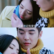 点击查看图片 神犬小七 第一季
