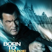 点击查看图片 天罡星下凡 Born to Raise Hell