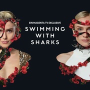 点击查看图片 与鲨同游 Swimming with Sharks