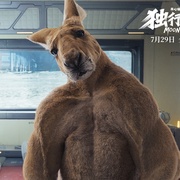 点击查看图片 独行月球
