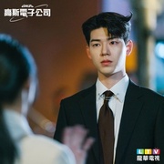 高斯电子公司 가우스전자