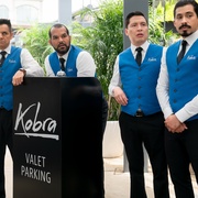 替身演员 The Valet