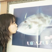 鱼之子 さかなのこ