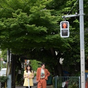 石子和羽男-这种事情也好告吗？- 石子と羽男―そんなコトで訴えます？―