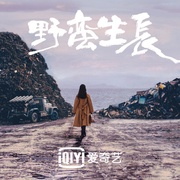 点击查看图片 风吹半夏