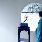 点击查看图片 惟有香如故