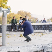 点击查看图片 无熊之境 خرس نیست