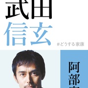 怎么办家康 どうする家康