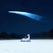 男孩、鼹鼠、狐狸和马 The Boy, the Mole, the Fox and the Horse