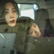点击查看图片 绿夜