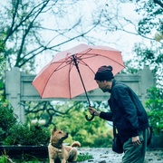 忠犬八公
