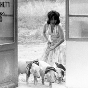 罗马妈妈 Mamma Roma
