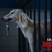 点击查看图片 狗神 DogMan