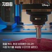 点击查看图片 支配物种 지배종