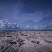 地球脉动 第三季 Planet Earth Season 3