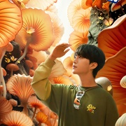 现在就出发