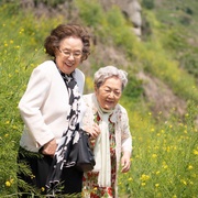 郊游 소풍