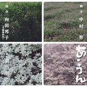 情义知多少 あ･うん