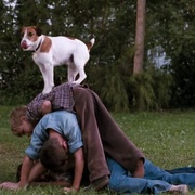 点击查看图片 我的小狗斯齐普 My Dog Skip