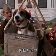 点击查看图片 我的小狗斯齐普 My Dog Skip