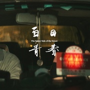 白日青春