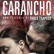 卡拉鹰 Carancho