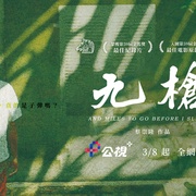 点击查看图片 九枪 九槍