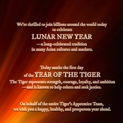 点击查看图片 老虎的学徒 The Tiger's Apprentice