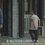 点击查看图片 探长薇拉 第十三季 Vera Season 13