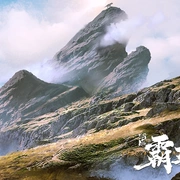 点击查看图片 我是霸王龙