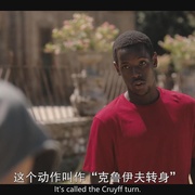 点击查看图片 美丽足球魂 The Beautiful Game