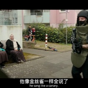 点击查看图片 莱茵金 Rheingold