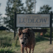 点击查看图片 宠物坟场:血源 Pet Sematary: Bloodlines