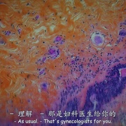 点击查看图片 人体结构 De Humani Corporis Fabrica