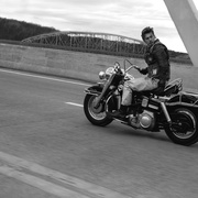 点击查看图片 摩托骑士 The Bikeriders