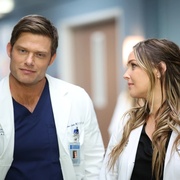点击查看图片 实习医生格蕾 第十九季 Grey’s Anatomy Season 19