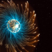 宇宙时空之旅：未知世界 Cosmos: Possible Worlds