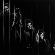 笼子里的女人 Lady in a Cage