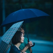 流水落花
