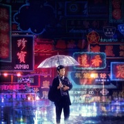灯火阑珊 燈火闌珊