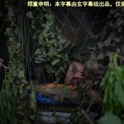 探长薇拉 第十二季 Vera Season 12