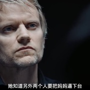 范·德·沃克 第二季 Van der Valk Season 2